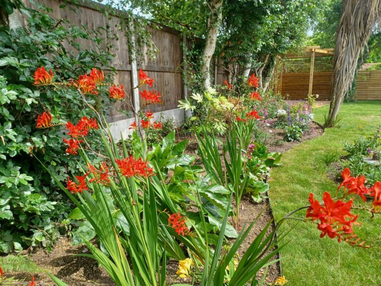 20230704 140143 768x576