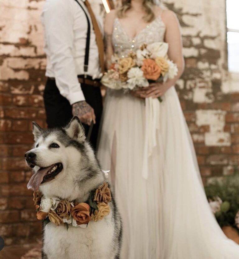 24C1BB3F CFDC 44DA 8F50 FA8BB2A10547 768x833