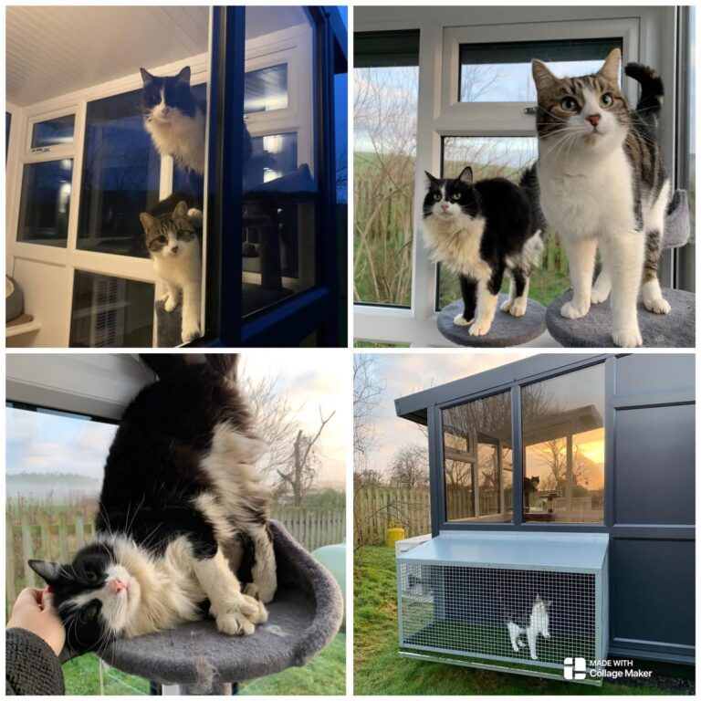 4254CFE3 1278 4AE9 A93E 26F9FBC66E74 768x768