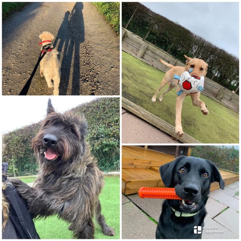 43F89AC2 A3CC 479D 97DA B8549613A334 768x768