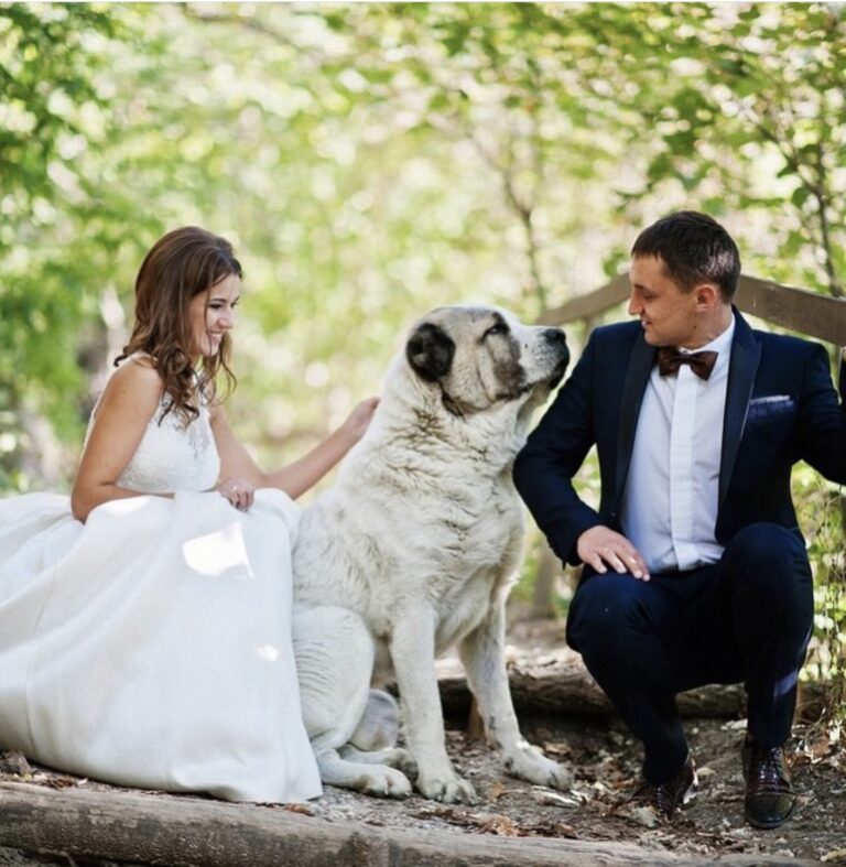 58891539 97E6 44EA BB81 7C8EEAD10D0B 768x787