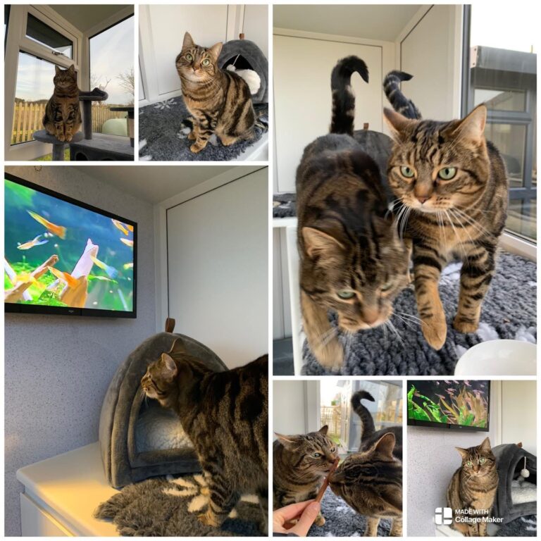 8E9356BB FDDB 411B A37B 96D07EFF5B86 768x768