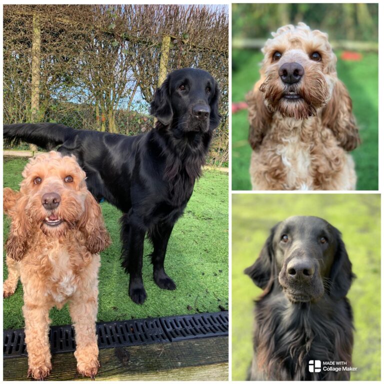 E663258B 254B 46A9 A0B3 26DC2CE0513E 768x768