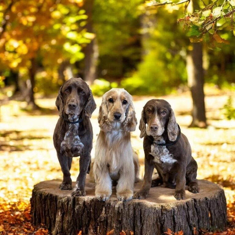 F73CC453 2334 444E B104 8775655383EB 768x768