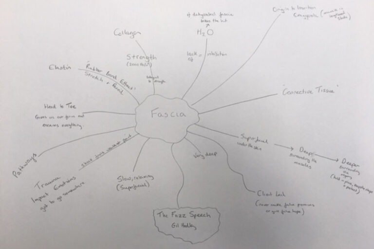 Fascia Mind Map 768x512