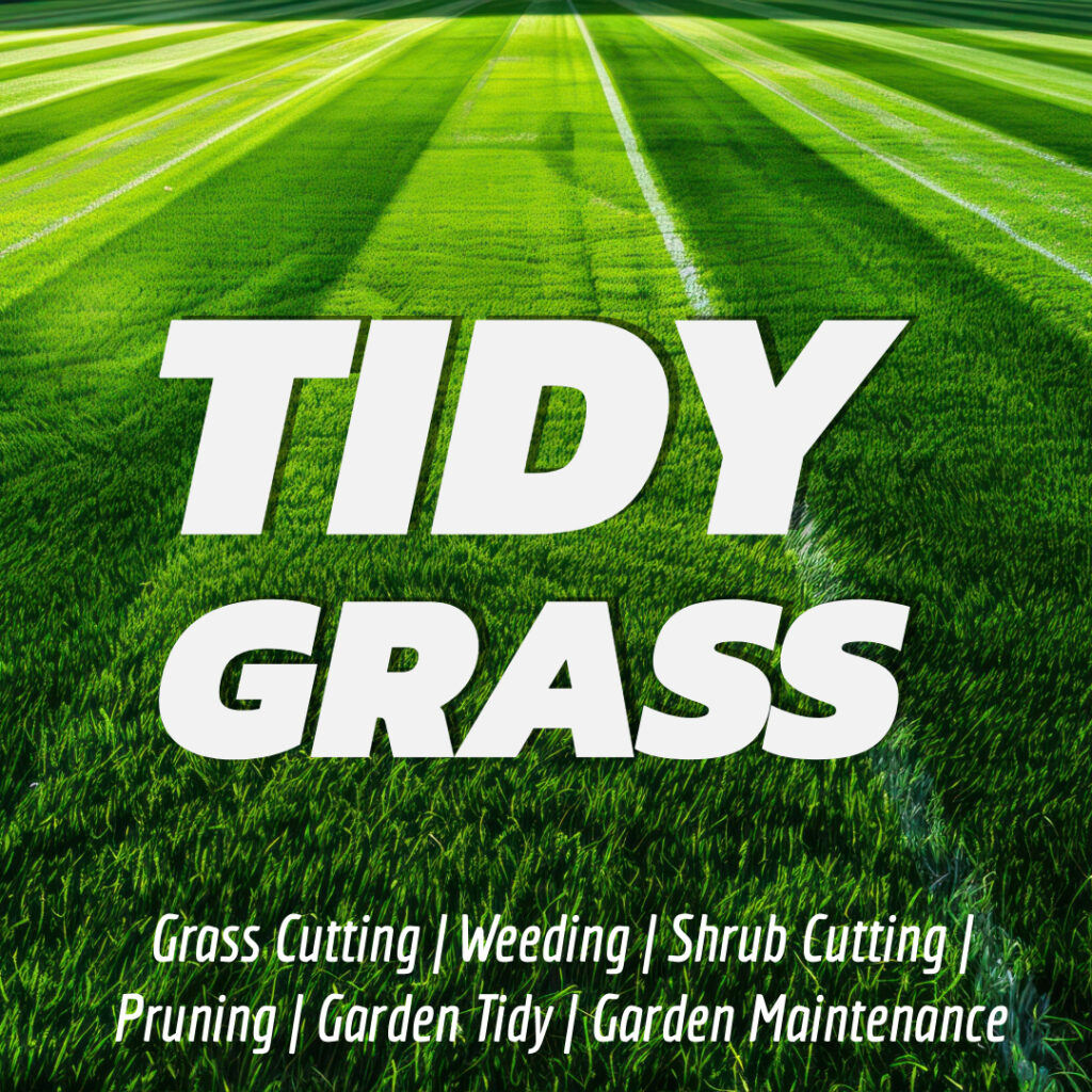 Untitled 38 1024x1024