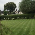 inbound5545075704268710500 150x150