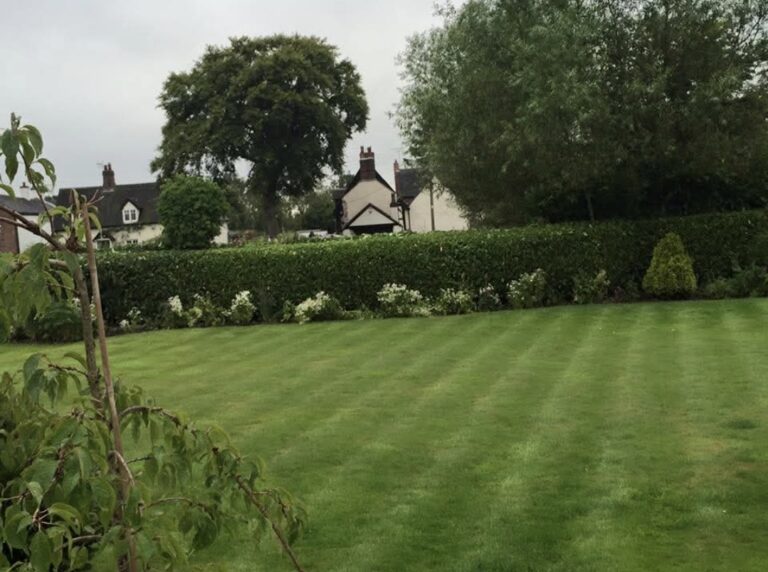 inbound5545075704268710500 768x572