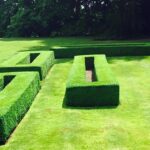 inbound5699248127627253341 150x150