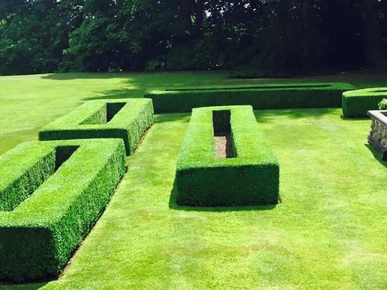 inbound5699248127627253341 768x576