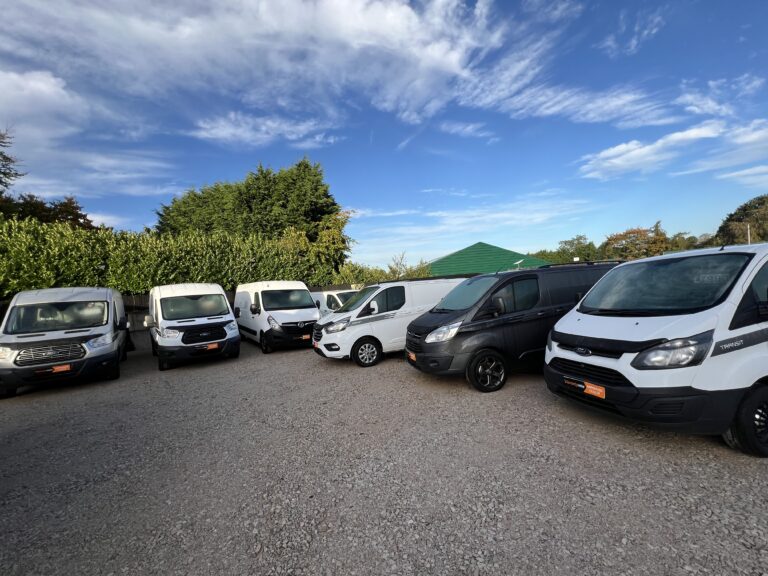 D078377E 6E8A 42F5 B46A 23D44C10441B 768x576