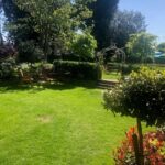 new garden pic 1 150x150