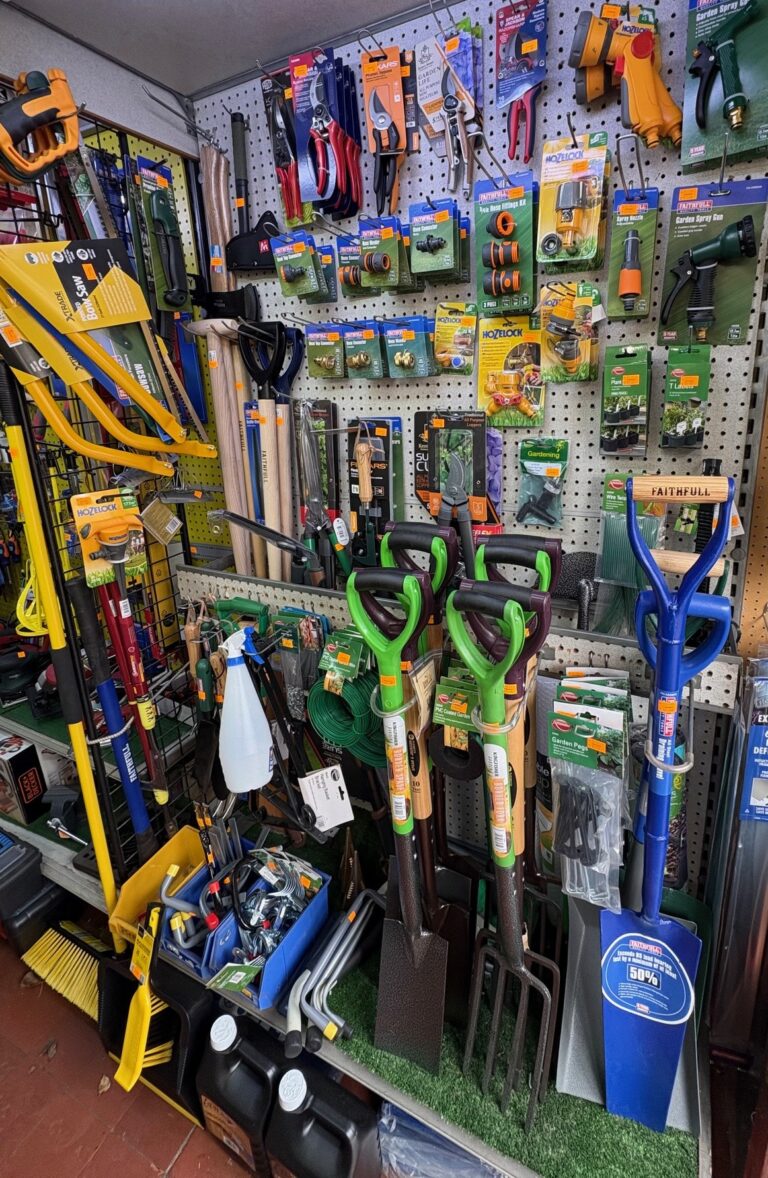 cc5a1010 c323 420a ad1b 20ded0951620 768x1178