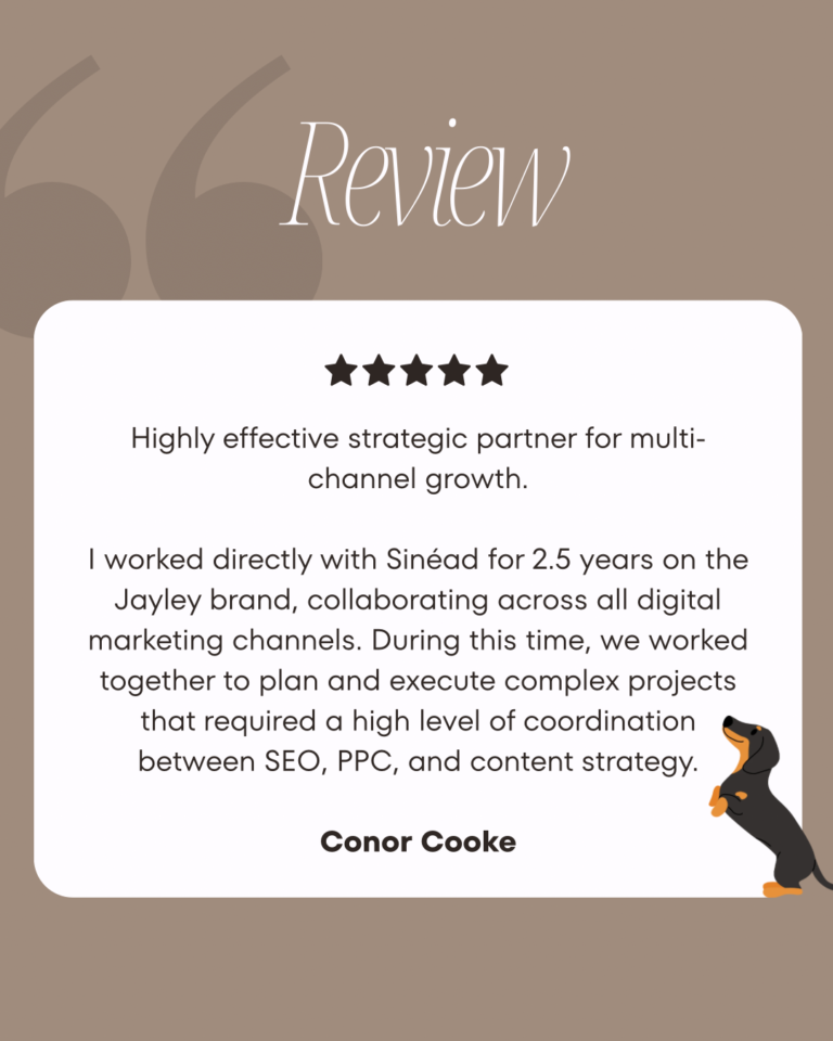 Review Underdog Marketing Services
